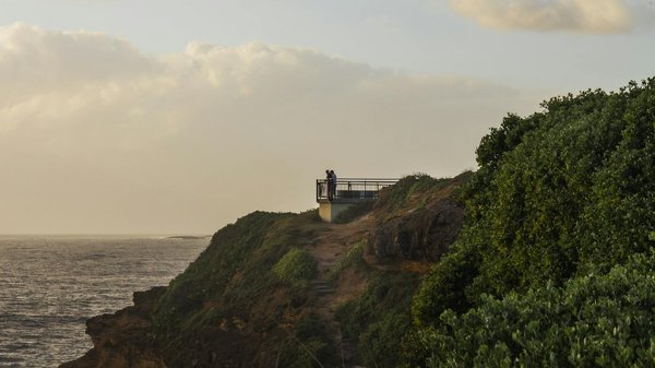 Comment découvrir les traditions culinaires de l'Éthiopie : plats incontournables et cours de cuisine ?