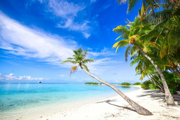 Peut-on louer une maison de vacances en Bretagne avec des cours de navigation à voile et des balades à cheval?